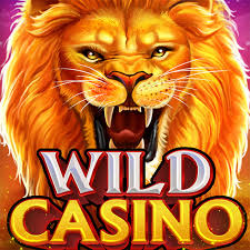 Wild Joker Gambling Establishment Evaluation: Our Judgment